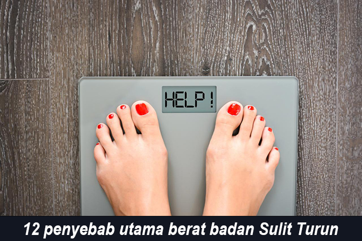 12 penyebab utama berat badan Sulit Turun